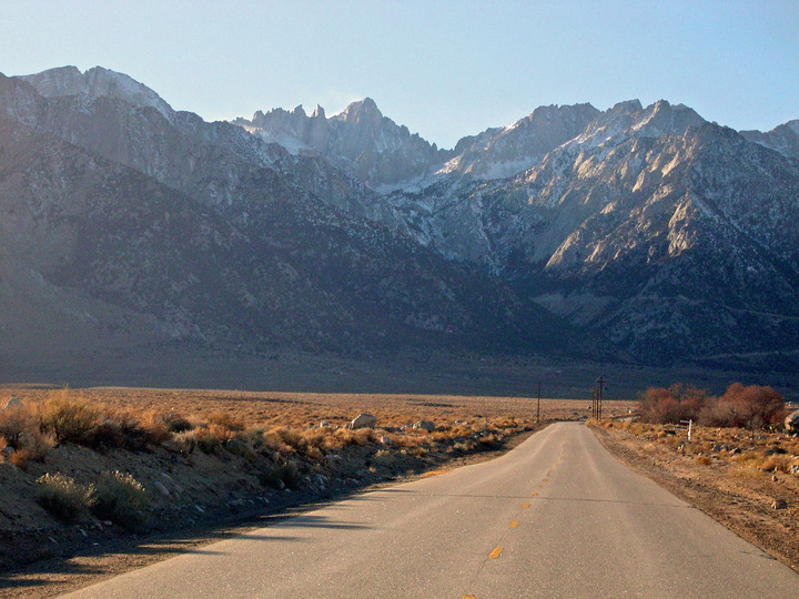 lone pine
