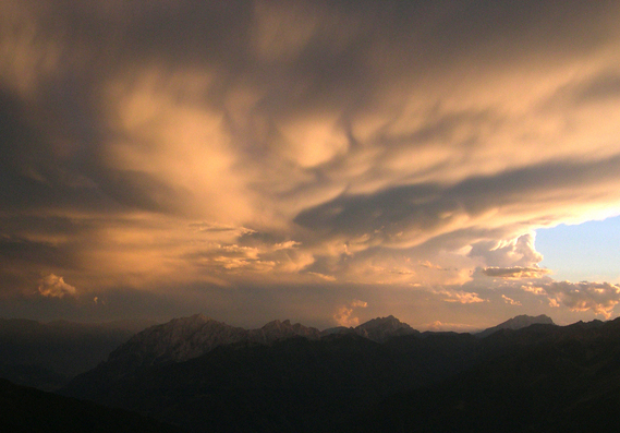dall'aviolo