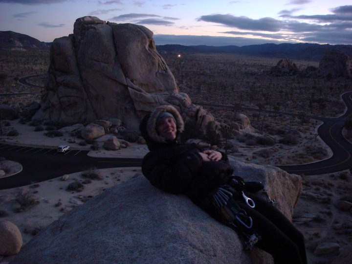 joshua tree