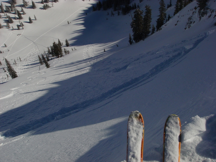 to go or not to go? to go or not to go?