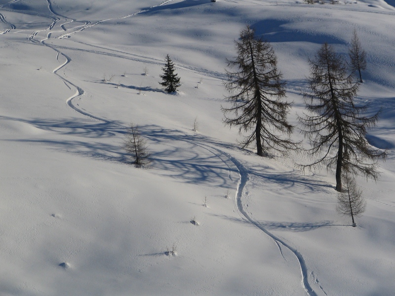 Uno sguardo alla traccia in Val Gerola Uno sguardo alla traccia in Val Gerola