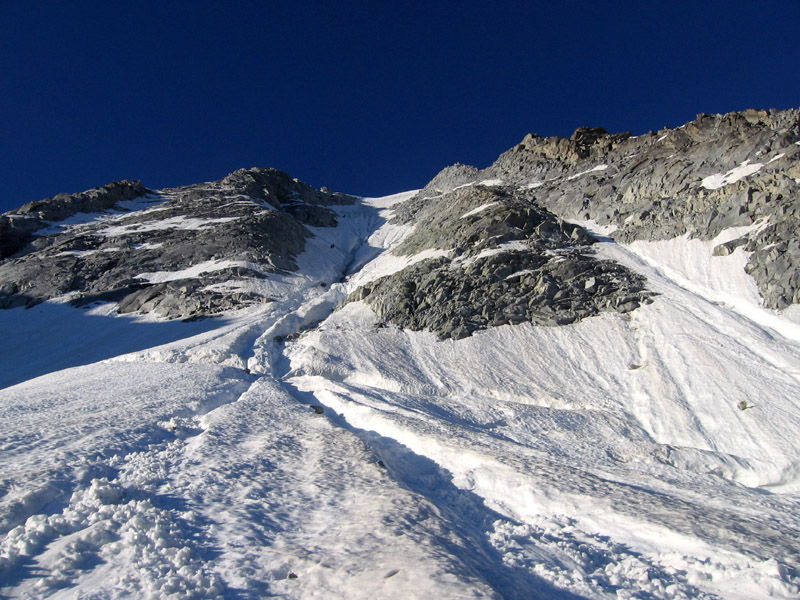 Presanella parete nord est Presanella parete nord est