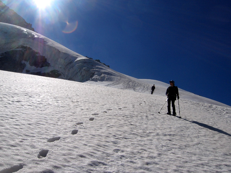 Presanella parete nord est Presanella parete nord est