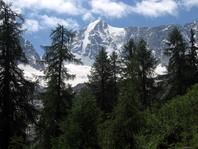 Presanella parete nord est Presanella parete nord est