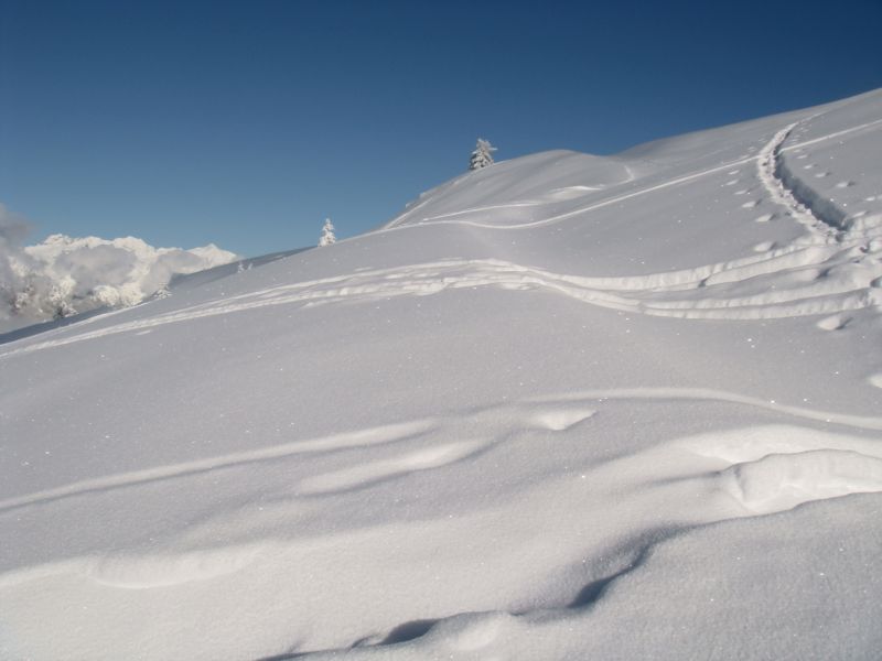 MONTE PORA