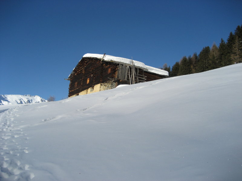 Febbraio 2009 Picture 01