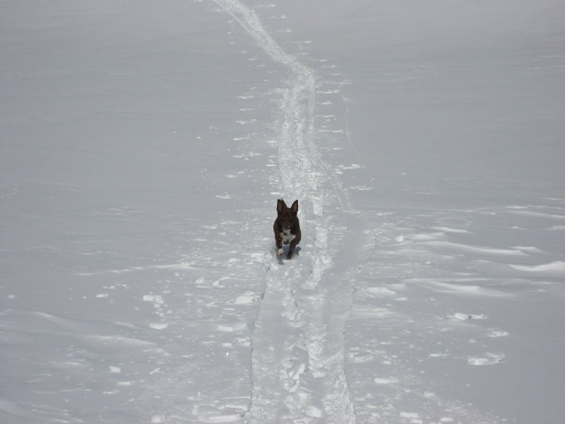 Febbraio 2009 Picture 08