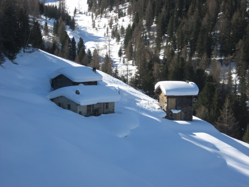 Febbraio 2009 Picture 09