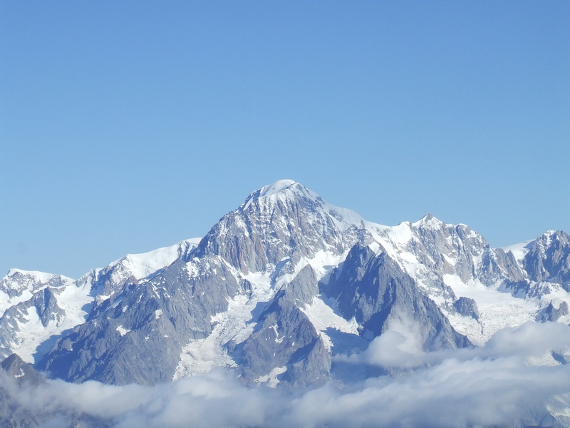 Sua Maest� il Bianco