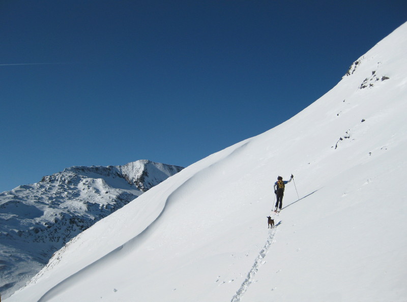 Cima della Bianca 04