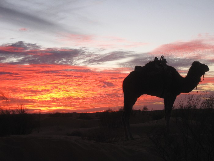 tunisia 4