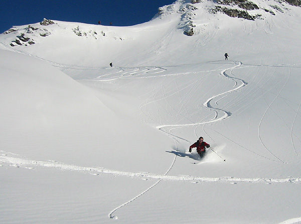 GuFo onicer a tallone libero