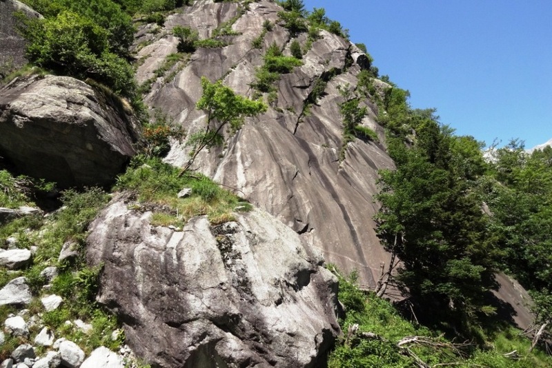 Placche del viale della stella Placche del viale della stella