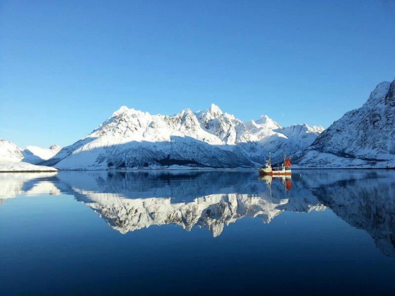 lofoten 1