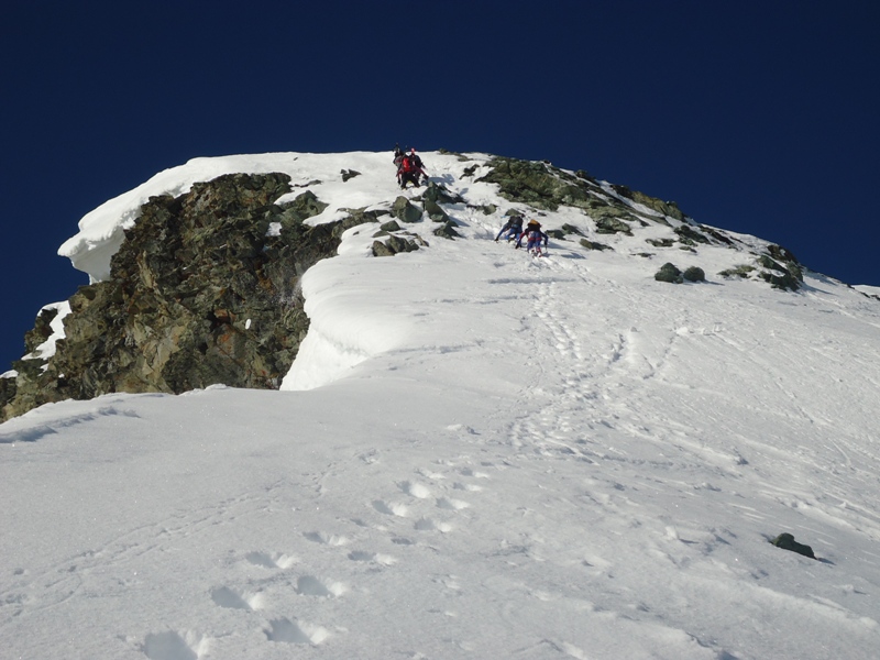 Pigne d'Arolla parete Nord Pigne d'Arolla parete Nord